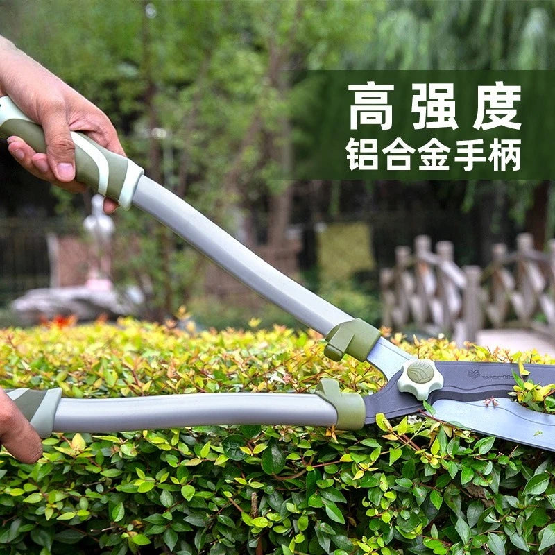 2025 Gardening tools: large scissors, hedge trimmer, lawn mower, pruning shears, flowers and plants, tree branches, garden trees