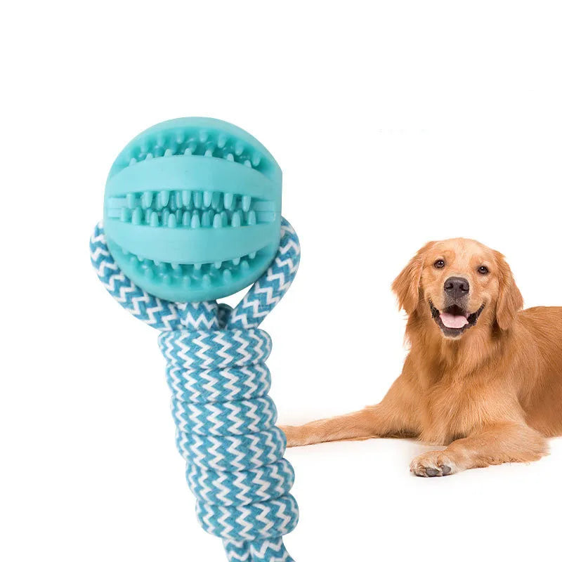 Pet Tooth Cleaning Chewing IQ Treat Ball Food Dispensing Bite Chew Knot Training Tugging Playing Rubber Rope Dog Ball Toys