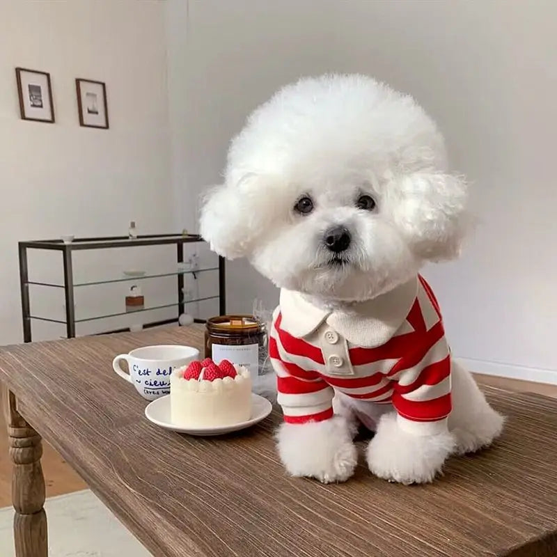 Fashion Pet Dog Striped Shirt Summer Puppy Clothes Cute Cat Vest Breathable Dog Thin Shirt Pet Kitten Clothing Chihuahua Clothes