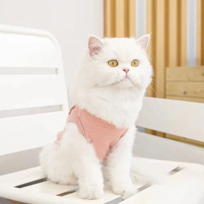 Cute Waffle Dog Clothes Breathable Thin Pet Cat Clothing Sweat-absorbent Solid Color Dog T-shirt