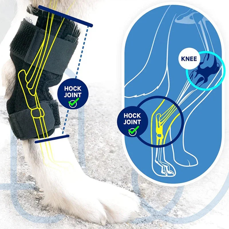 Injury Recover Legs Dog Arthritis Protector Support Protects Bandage Pet Knee Pads Injury Recovery For Dog Leg Hock Joint Wrap
