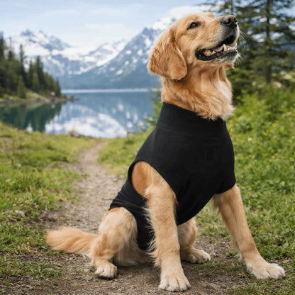 Adjustable Pet Physiological Clothing Stretchy Soft Dog Recovery Suit Reusable Sweat Absorption Dog Sanitary Jumpsuits