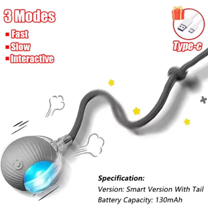 Hot cat toys are automatically teasing cat balls and self-exciting cat sticks and ticks and resistant to wear and bite pet toys