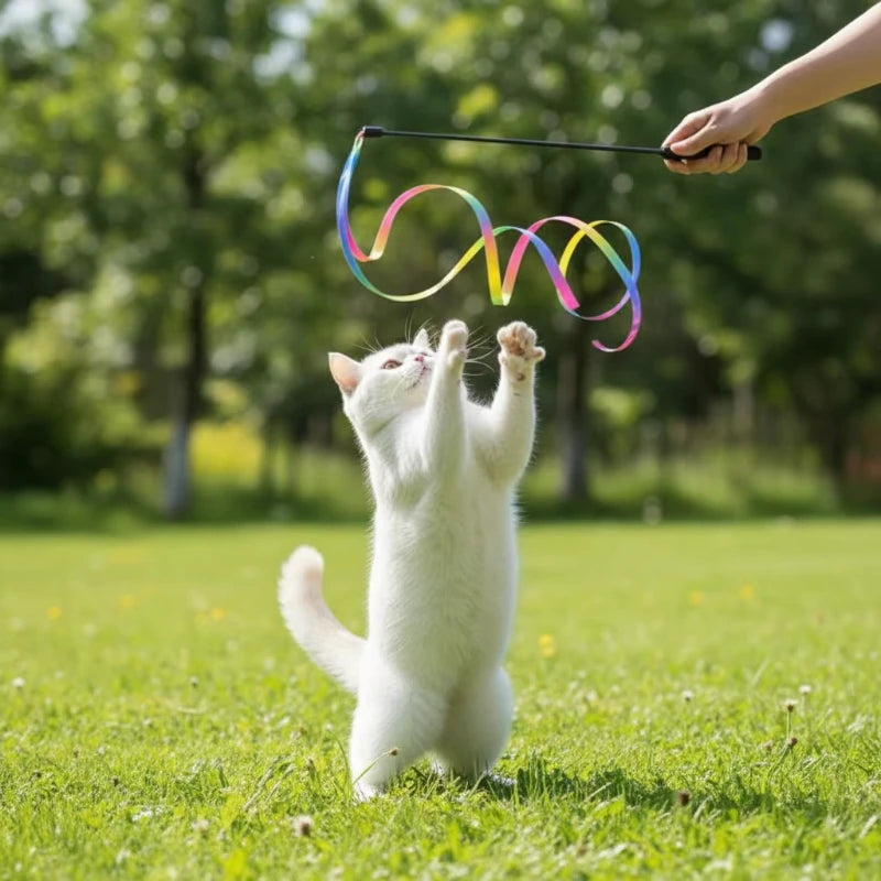 Pet Cat Toys Cute Funny Rainbow Strips Stick Cat Teaser Wand Pet Toys for Cats Interactive Toys Cat Supplies Pet Products
