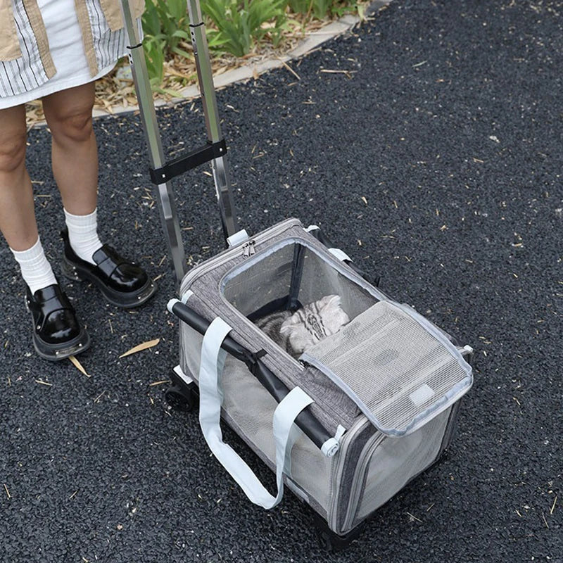 Outdoor Pets Strollers on Wheels Small Dog Cat Luxury Strollers Travel Cheap Cute Foldable Pets Trolley Carrier Breathable