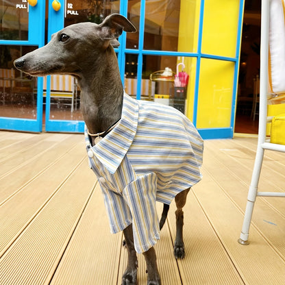 Pet Dog Clothes Striped Shirts for Greyhound Dogs Clothing Small Thin Summer Blue Fashion Boy Girl Large Dog Pet Products