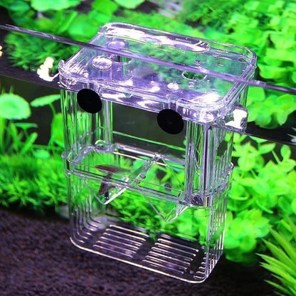 Multifu Fish Aquarium High Clear Breeding Isolation Box Pet Supplies Breeder Tank Double Guppies Hatching Incubator Pet Products