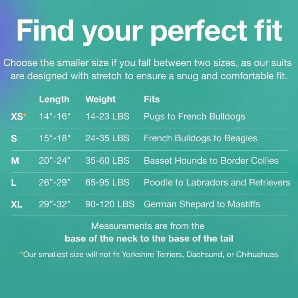 Adjustable Pet Physiological Clothing Soft Stretchy Dog Recovery Suit Sweat Absorption Reusable Dog Sanitary Jumpsuits
