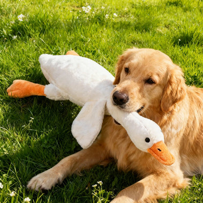 Plush, vocal, companion dog toys suitable for all breeds of cats and dogs, with double-layer fabric for tear resistance