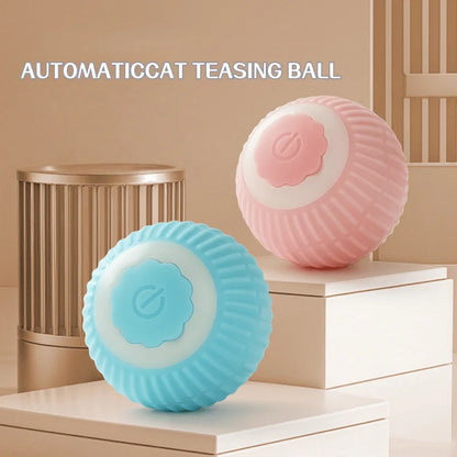 Pet Cat Toys Intelligent Rolling Ball Soothing Ball Artifact Teasing Cat Toys Dust Free Pet Supplies