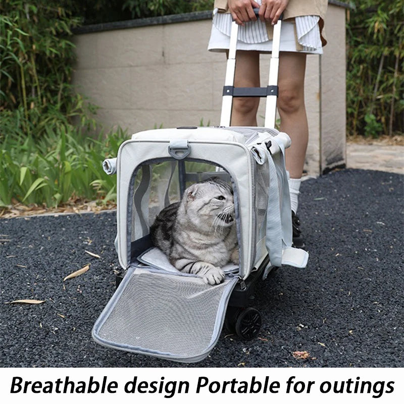 Outdoor Pets Strollers on Wheels Small Dog Cat Luxury Strollers Travel Cheap Cute Foldable Pets Trolley Carrier Breathable
