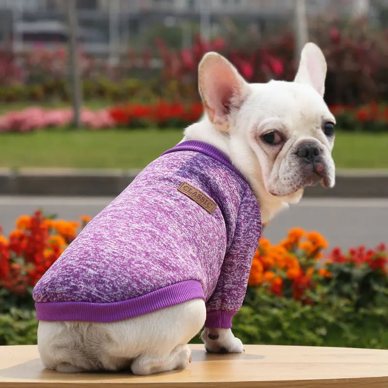 Cute Dog Clothes for Small Dogs Soft Pet Dog Sweater Clothing for Dog Winter Chihuahua Clothes Classic Pet Outfit Accessories