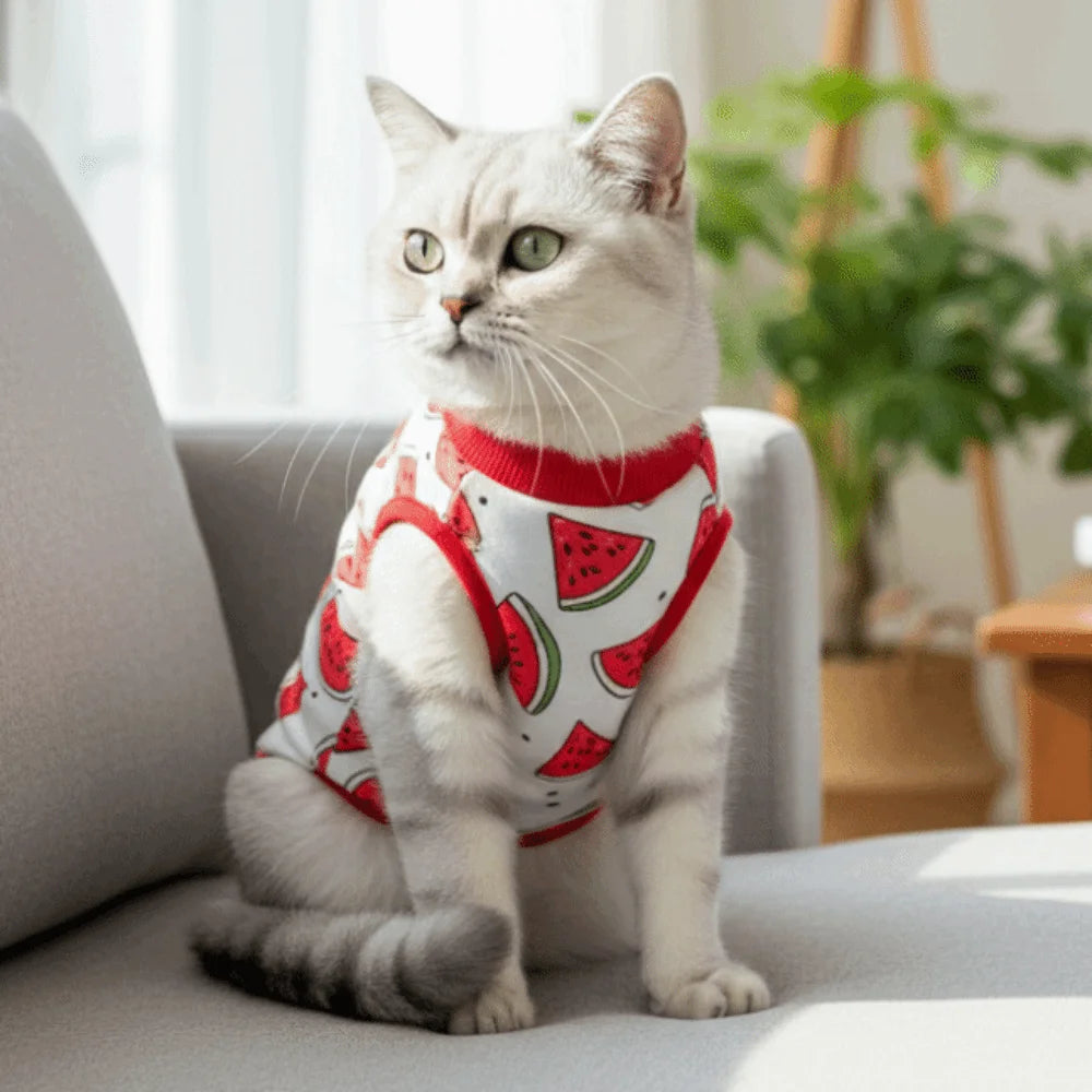 Fruit Printed Cat Recovery Clothing High Elasticity Breathable Pet Anti-Licking Vest Soft Comfortable Pet Weaning Suit Pet Care