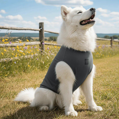 Adjustable Pet Physiological Clothing Stretchy Soft Dog Recovery Suit Reusable Sweat Absorption Dog Sanitary Jumpsuits
