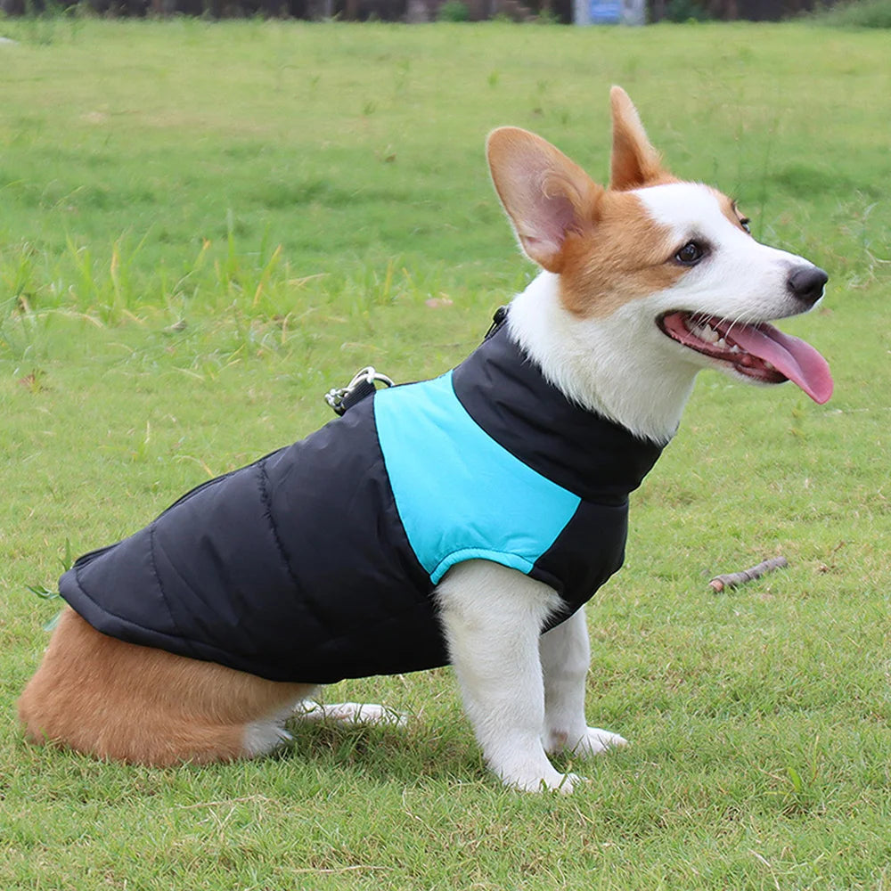 Winter Pet Coat Dog Clothing Warm Rainproof Overall Traction Cotton Pet Clothing Thick Big Dog Vest Pet Supplies Charge Coat
