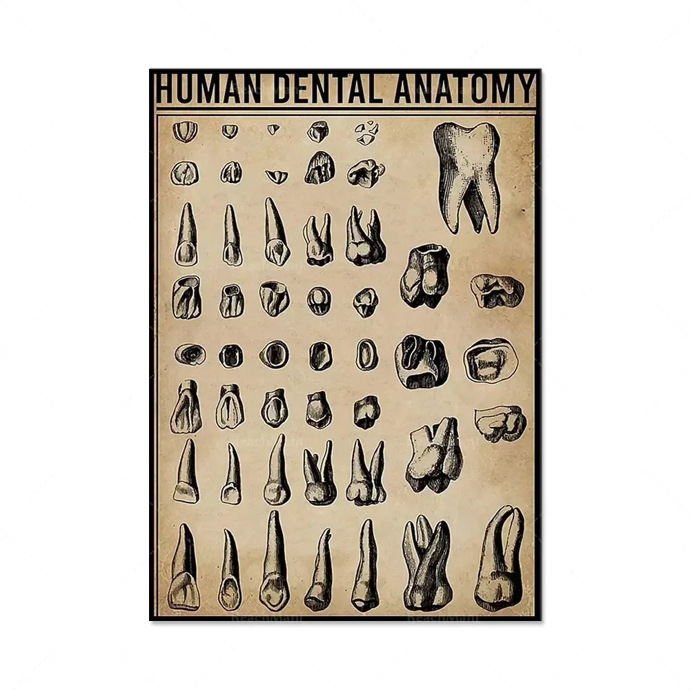 Modern Dental Art Teeth Canvas Painting for Home Living Room  Bedroom Wall Decor Stylish Poster Print
