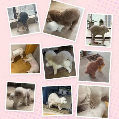 Soft Silicone Puppy Sex Toys Small Breeds Plush Toys Sensory Toys Pet Supplies Pet Dog AccessoriesTraining Aids and Behavior