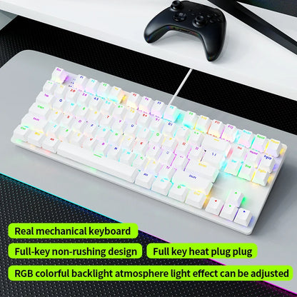 Gaming Mechanical Keyboard  AK87 Hot Swappable RGB Backlit, USB Wired Full Size Anti-Ghosting Keyboard with Red/Blue Switch for