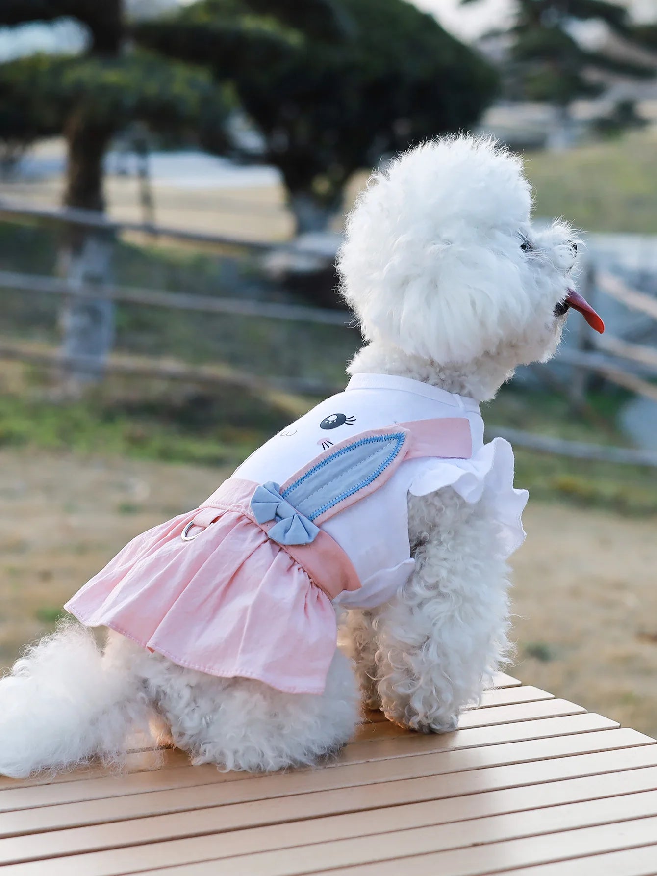 Pet Summer Clothing Thin Style Teddy Dog Clothes Cat Small and medium Dog dresses spring and Summer with lovely rabbit printing