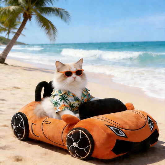 Cute Cat Beds Kitten Beds Soft Small Dog Beds Washable Pet Bed with Pillow for Puppy Kitty Funny Supercar Cat Toys Accessories