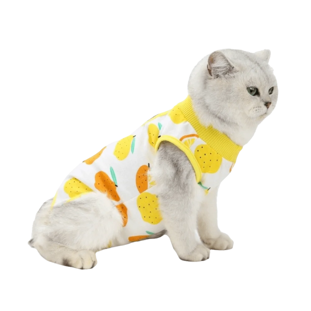 Fruit Printed Cat Recovery Clothing High Elasticity Comfortable Pet Anti-Licking Vest Soft Breathable Cat Jumpsuit Pet Care
