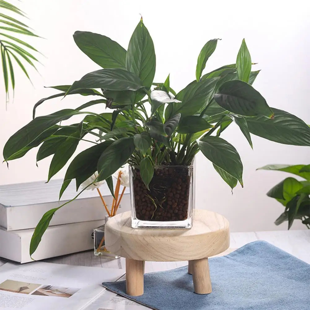 Small Useful Small Wooden Stool Wear-resistant Flower Pot Stand Fine Workmanship Wood Texture Flower Pot Stand Rest