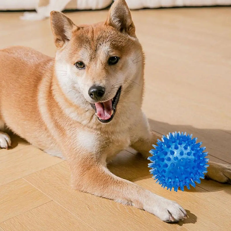 Pet Dog Toys Cat Puppy Sounding Toy Polka Squeaky Tooth Cleaning Ball TPR Training Pet Teeth Chewing Toy Thorn Balls Accessories