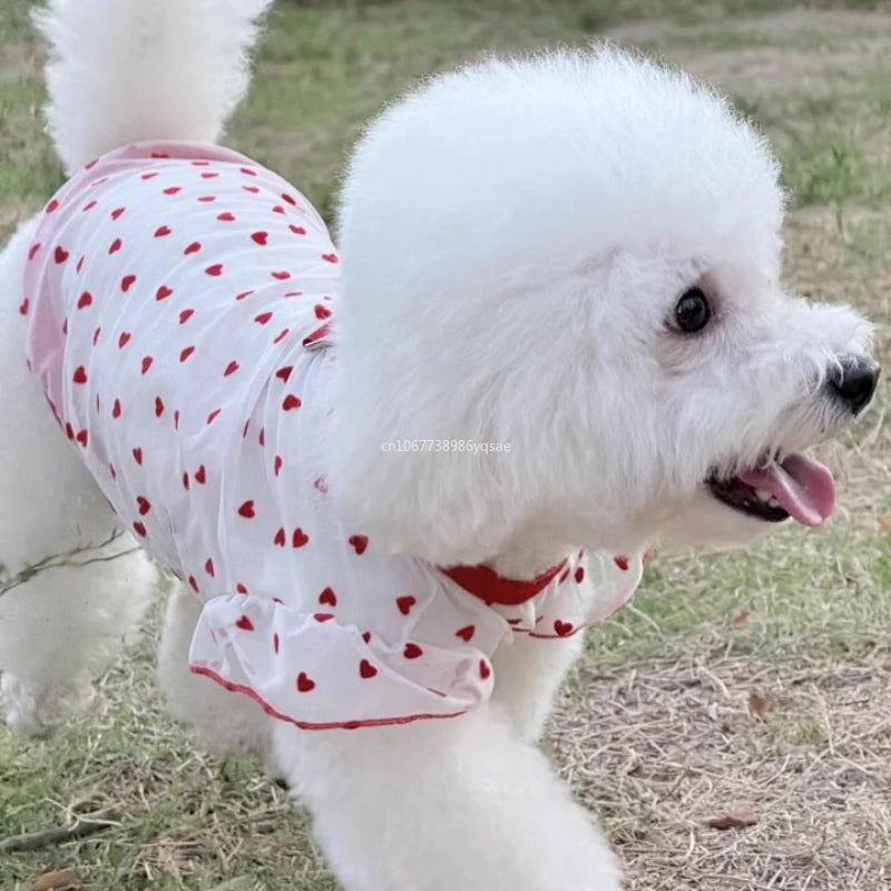 Pet Dog Clothes Puppy Vest T-shirt Shirt Cute Summer Pet Clothing  Bottoming Shirt Dog Costume Puppy Clothes одежда для собак