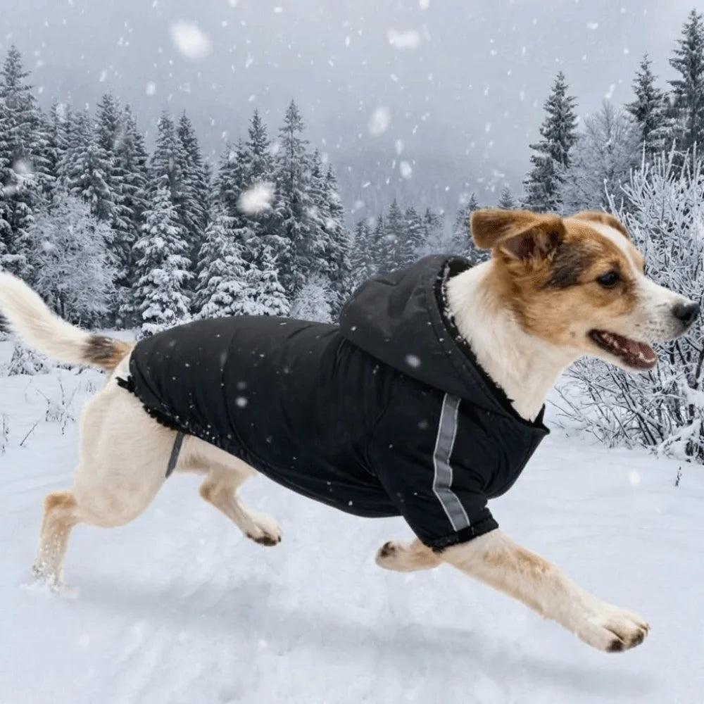 Pet Costume Windproof Fleece Dog Clothes Waterproof Comfortable Winter Pet Apparel Warm Reflective Pet Sweatshirt Autumn Winter