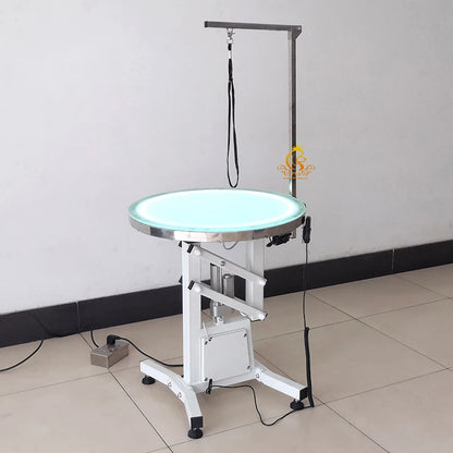 Pet Electric Lift Grooming Table With Led Light Professional Grooming  Care Multifunctional Pet Grooming Table