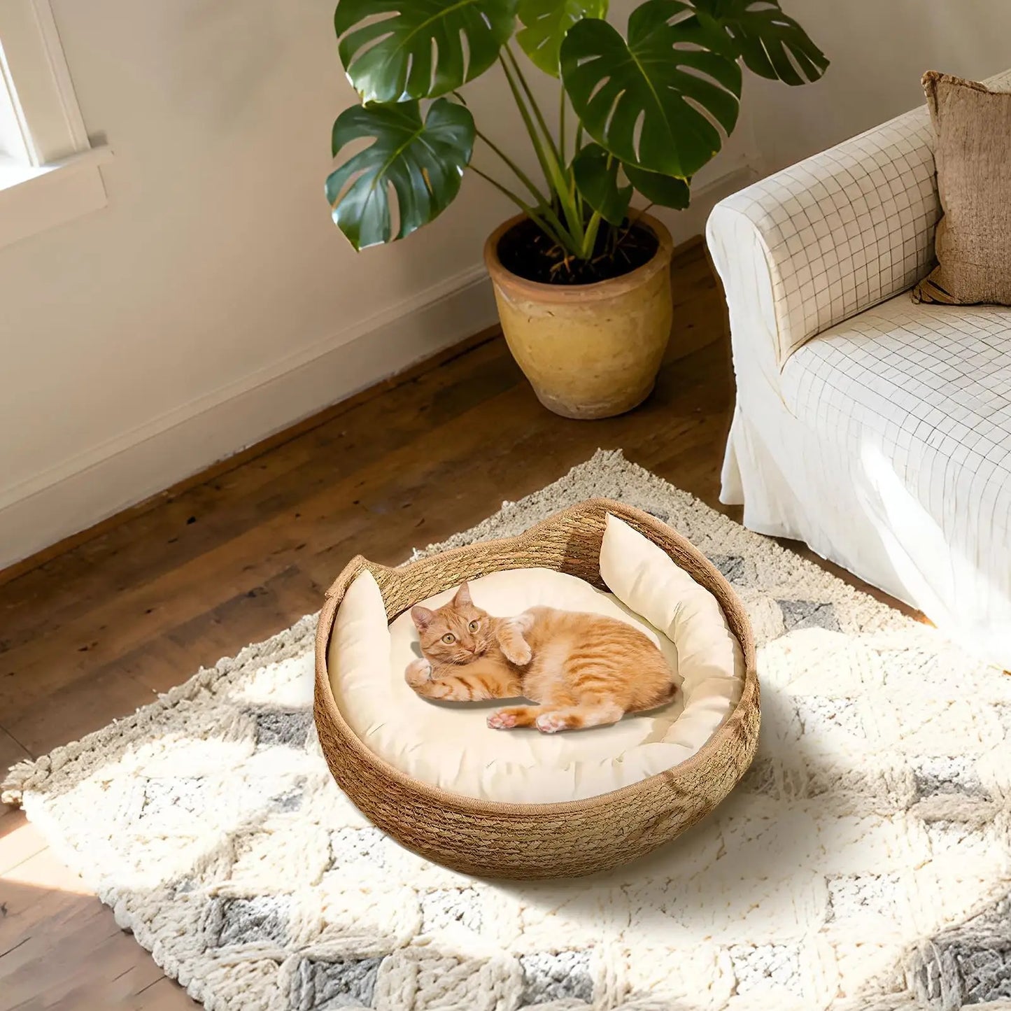 Cat Bed Cat Woven Nest Bed with Soft Cushion and Pillow All Season Weaving Pet Sleeping Resting Scratching Furniture for Puppy