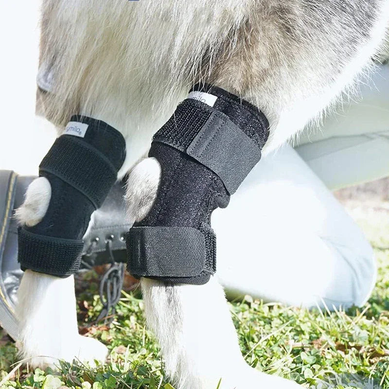 1Pair Pet Knee Pads Dog Arthritis Protector Cover Dog Leg Support Brace for Leg Hock Joint Wrap Injury Recover Dogs Supplies