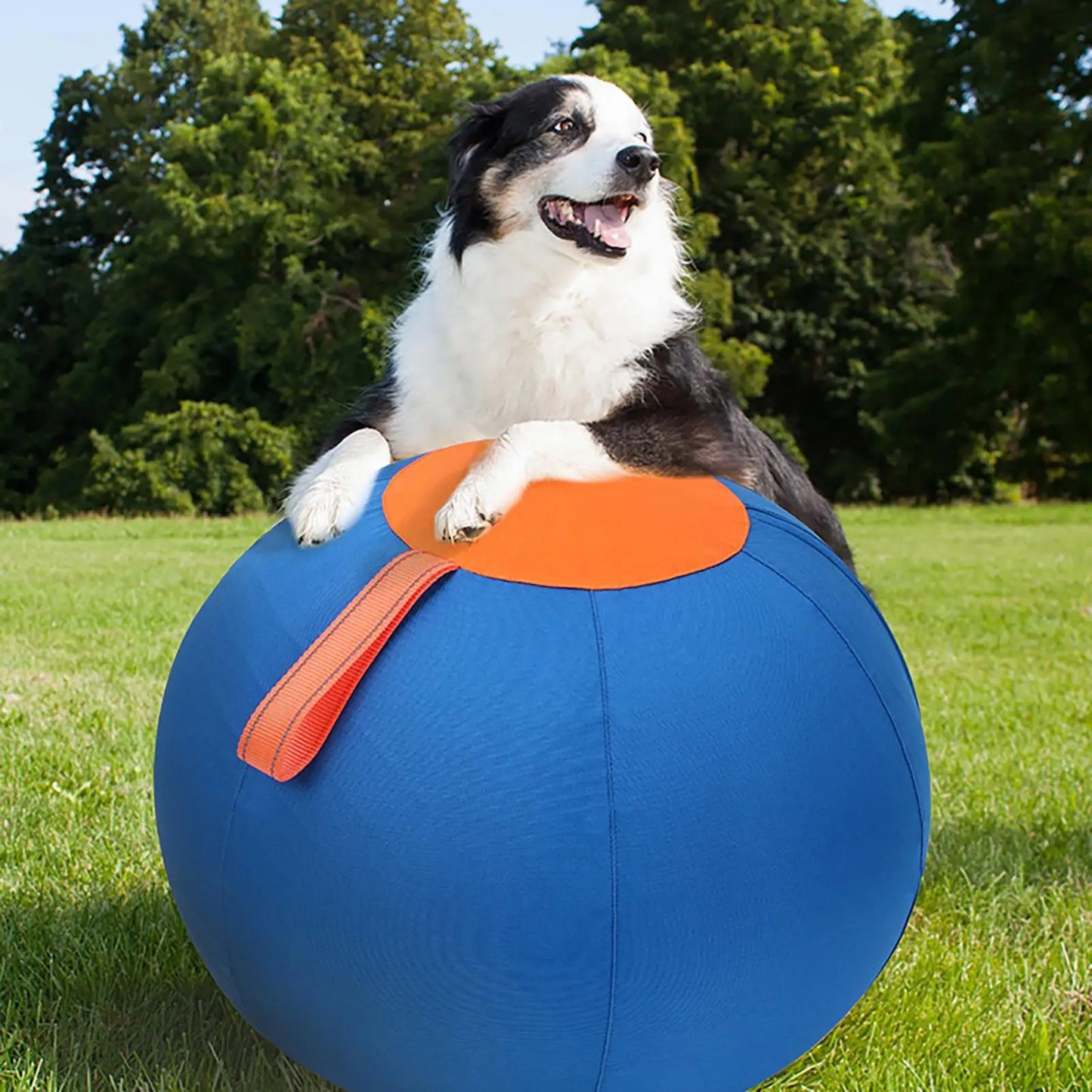 Dog Interactive ball Toys Children Large Balls Dog Outdoor Training Balls Pet Sporty Bite Chew Teething Ball