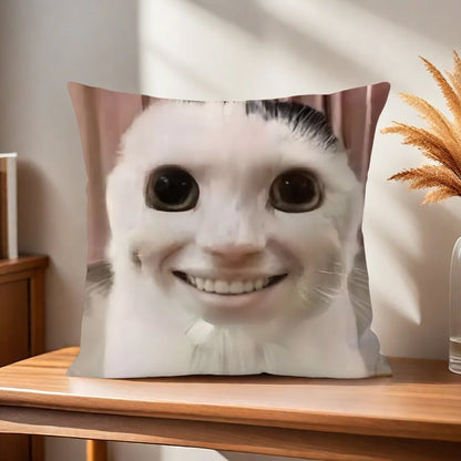 cushion cover Comfortable soft cat funny Pillow Case for Sofa meme Living Room Home office Decor and Protective Covers
