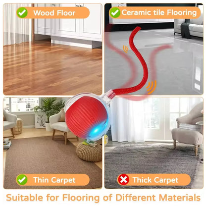 Hot cat toys are automatically teasing cat balls and self-exciting cat sticks and ticks and resistant to wear and bite pet toys