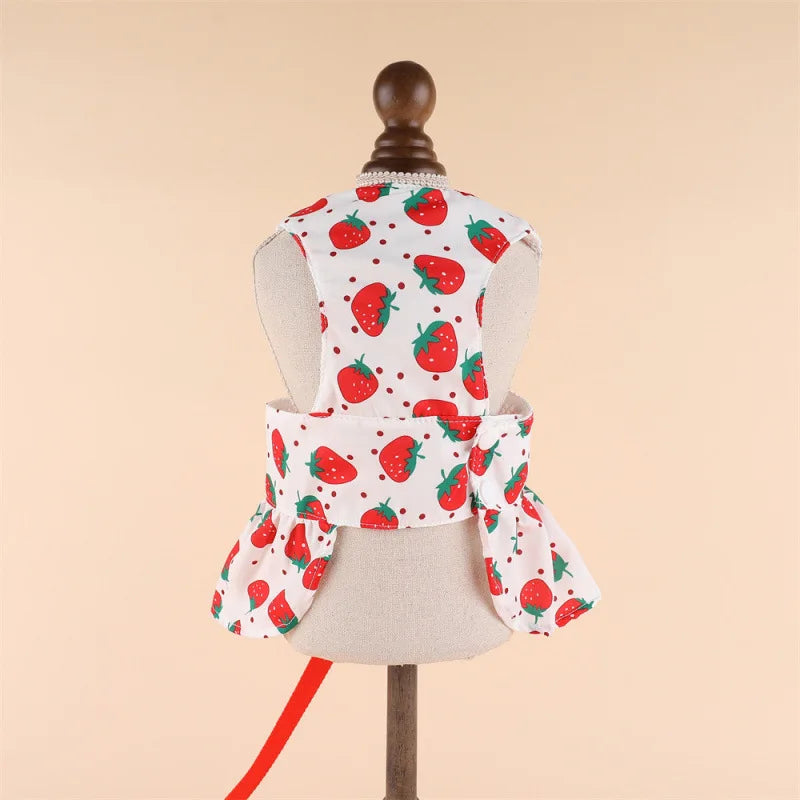 Pet Dog Clothes Spring And Summer Thin Style With Traction Rope Dress For Small Dogs And Cats Suitable For Teddy Bichon Fris