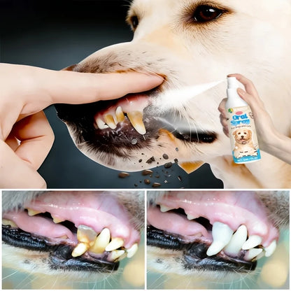 Pet Oral Cleanse Spray Dogs Cats Teeth Clean Deodorant Prevent Calculus Remove Kitten Bad Breath Pet Supplies Freshen Breath