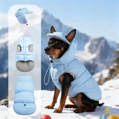 Autumn and winter pet dog cotton-padded vest thickened and fleece-lined warm hooded vest dog puff clothing pet apparel dog coat