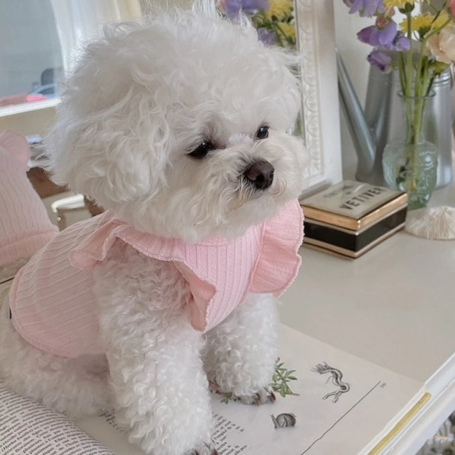 Cute Bow Dog Vest 2025 Dog Clothes Puppy Pullover Summer Pet Clothes Breathable Two-Legged Clothes Solid Color Cat Pet Products