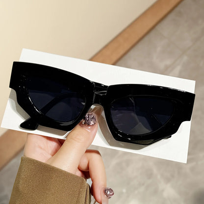 2026 New Fashion Unisex Oversized Sunglasses, Cool and Versatile, Climbing Sports Anti-reflective PC Lenses, Polycarbonate Frame