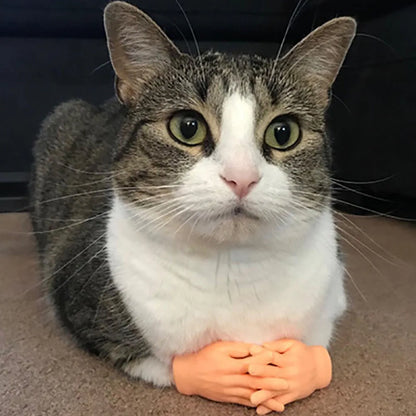 Adult Kid Novelty Toys Funny Mini Hands Creative Finger Fidget Toys Simulation Soft Small Hand Tease the Cat Pet Toy Simulation