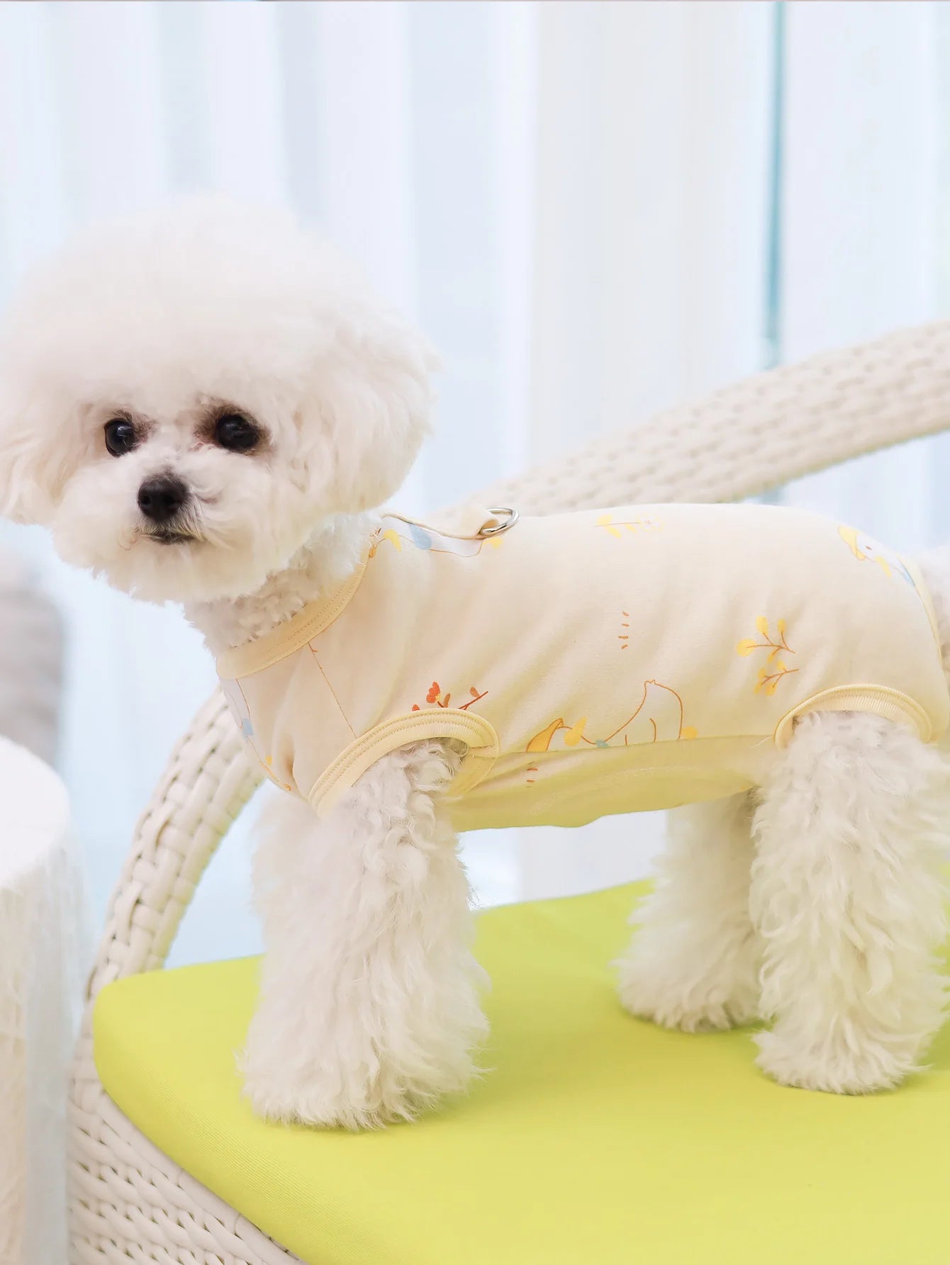 Spring & summer pet clothes four legged pants cat & dog clothes breathable and anti shedding air conditioning home clothes