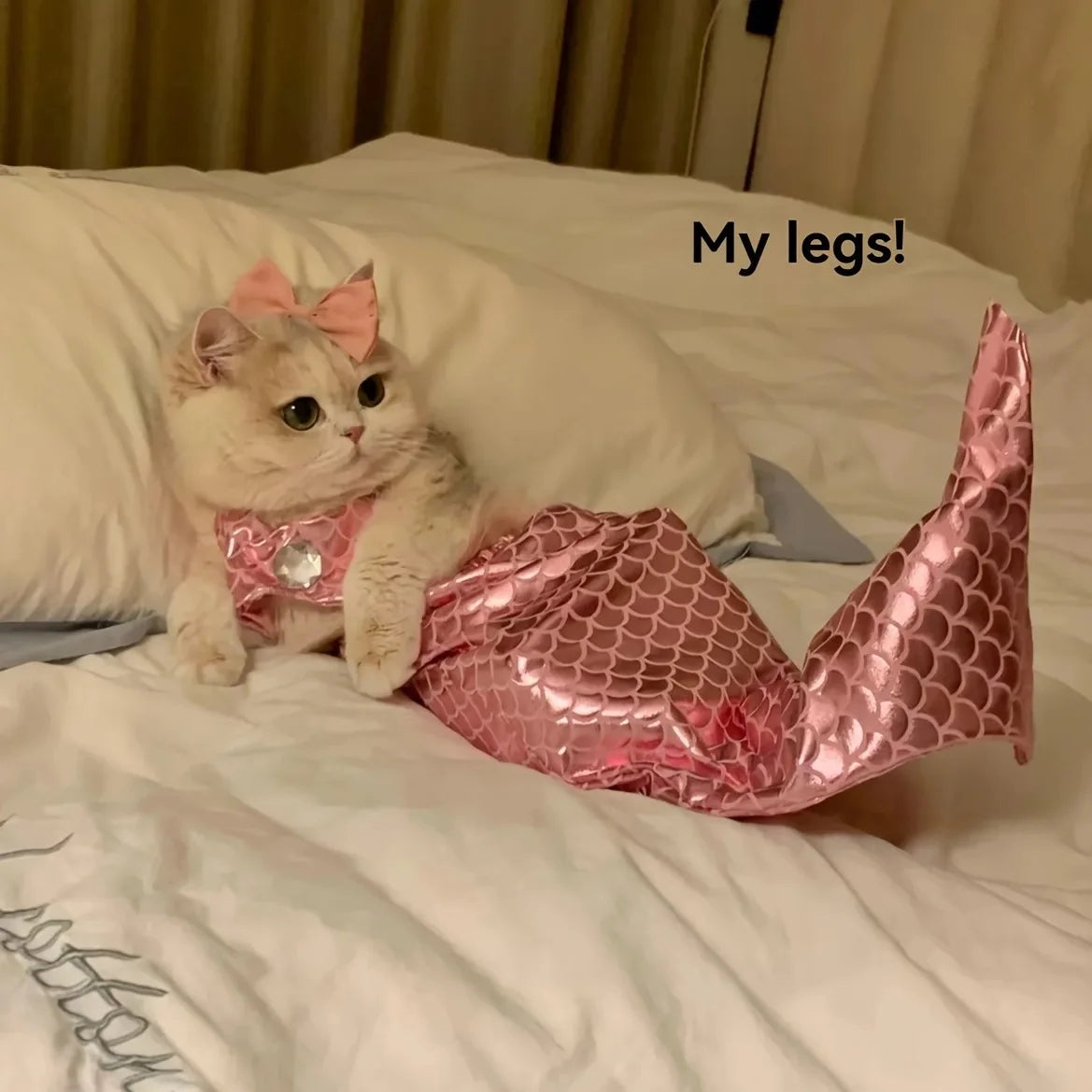 Pet cat mermaid clothing funny styling shooting props swimsuit bikini clothing human tail clothing