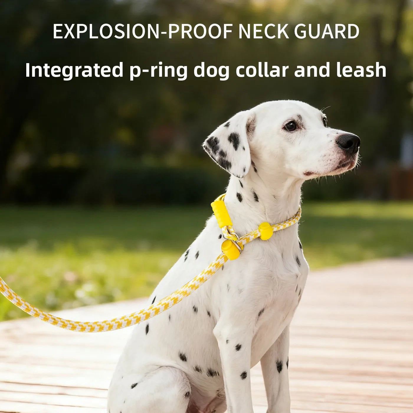 Pet Dog Training Round Rope Light Weight Nylon P Chain Collar Adjustable for Small Medium Dogs Walking Leash Pet Supplies