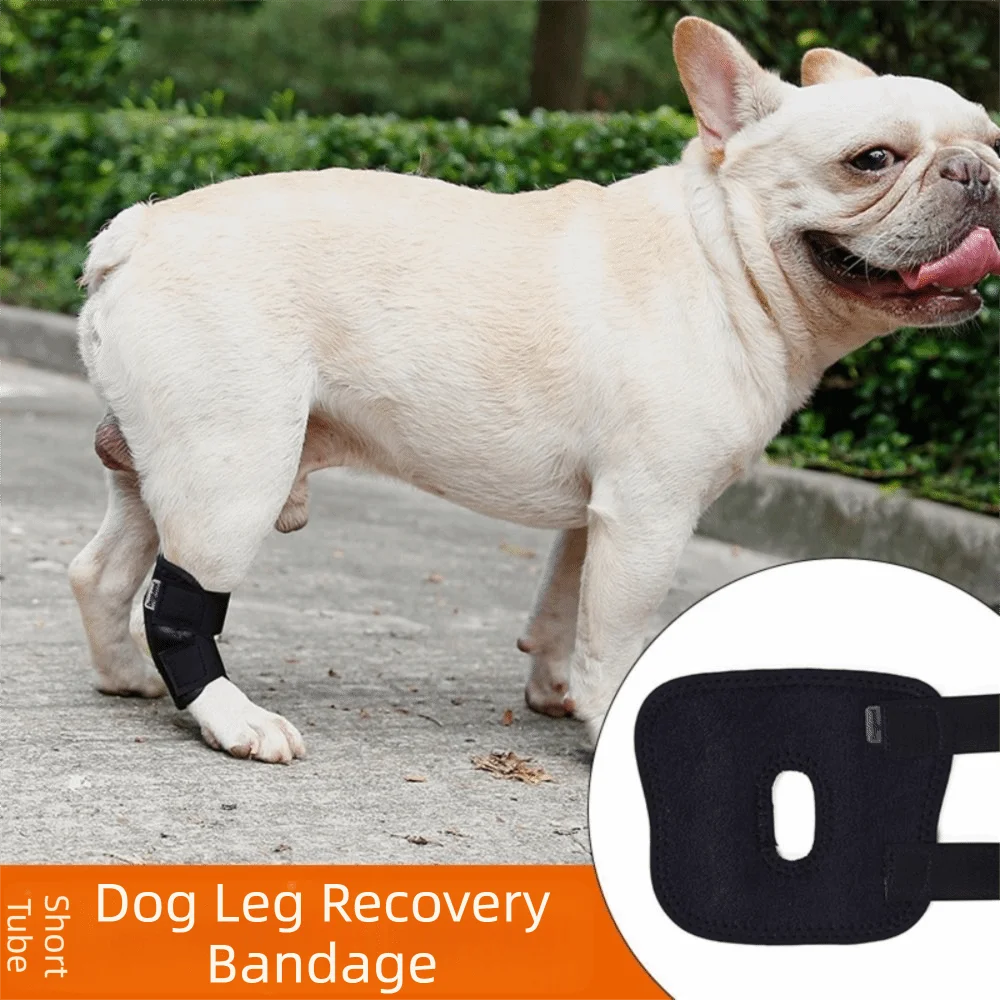 Updated Protects Bandage Dog Protector Cover Dog Leg Support Dogs Hock Joint Brace Pet Knee Pads Dogs Injury Recovery