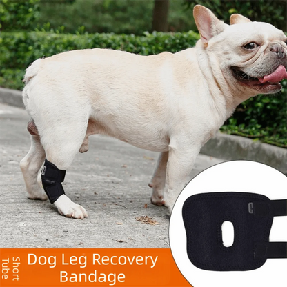 Updated Protects Bandage Dog Protector Cover Dog Leg Support Dogs Hock Joint Brace Pet Knee Pads Dogs Injury Recovery