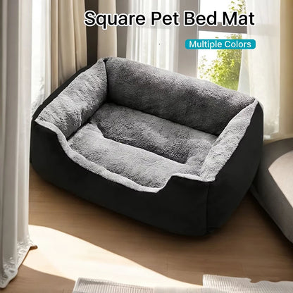 Bed for Cats Pet Products Cushions Kitten Goods Accessories Dog All Houses Supplies Things Accessory Habitats Basket House Beds