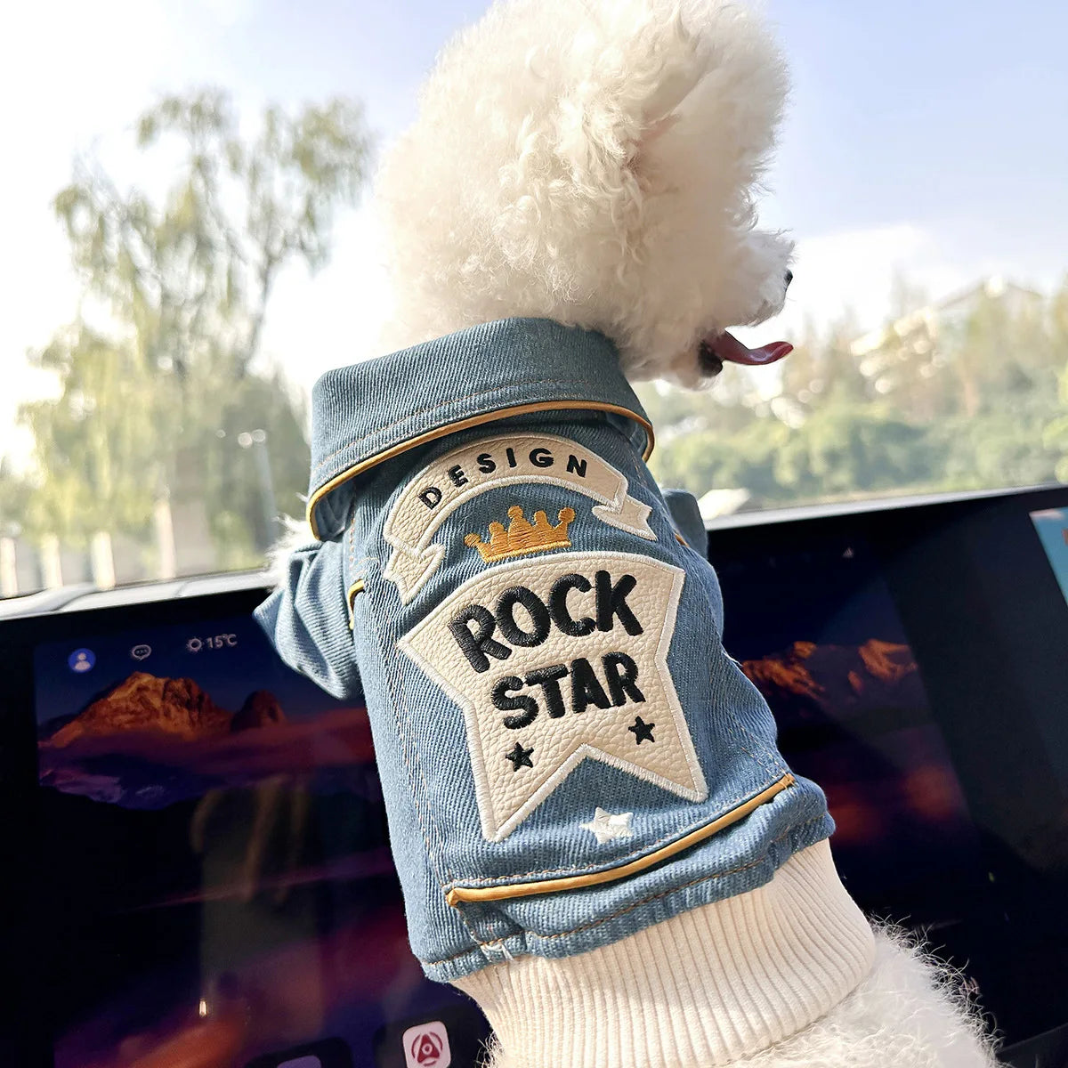 Pet Clothing Dog Cat Clothing Pet Handsome Fashion Cowboy Clothes Washed Vest Coat Collection Rock Denim Clothing Pet Products