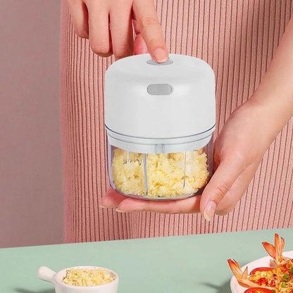 100ML/250ML Electric Garlic Chopper, Portable Food Processor, Rechargeable Vegetable Chopper Blender for Nuts Chili Onion