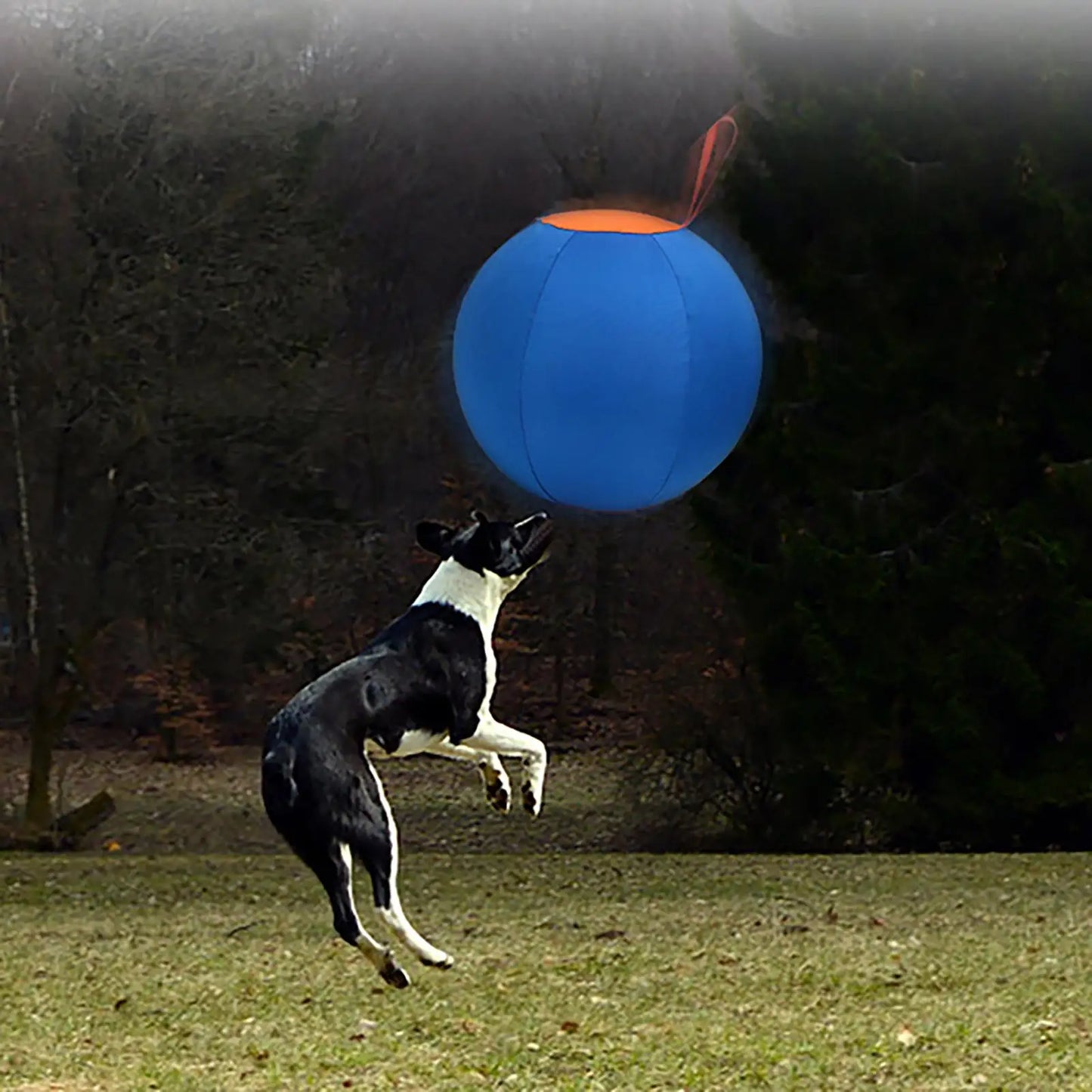Dog Interactive ball Toys Children Large Balls Dog Outdoor Training Balls Pet Sporty Bite Chew Teething Ball
